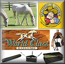 Horse Trailer Interior Tack Accessories Horse Trailer Interior Tack Accessories