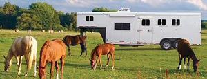 Horse Trailer Windows & Hardware Horse Trailer Windows & Hardware