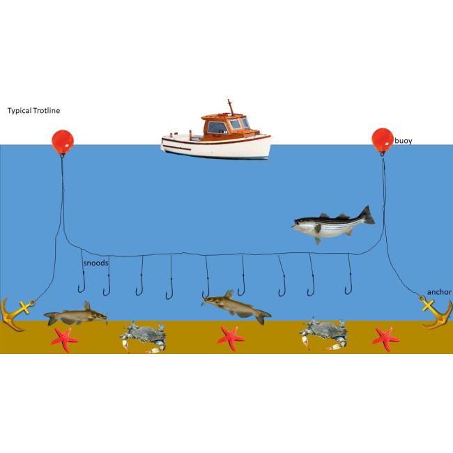 CRAB BULLY 3 Strand 1/4 in. x 600 ft. Snooded Trotline, 1/8 in. Red