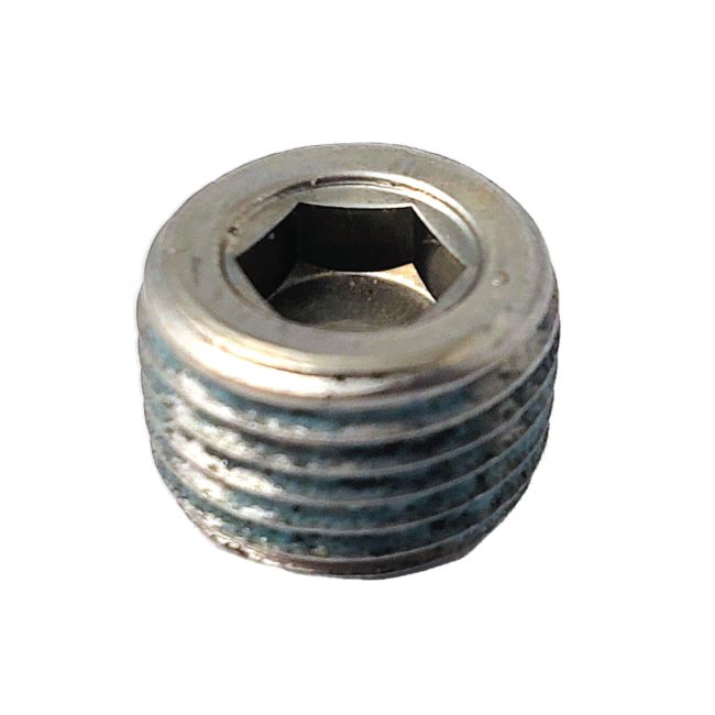 EZ-LOADER Oil Hub Plug, 1/8 in. NPT #290-034129