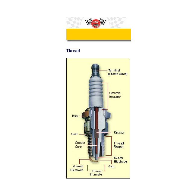 NGK Traditional Marine Spark Plug #DCPR8E