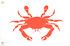 Crab Flag, 12" x 18" #5618