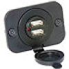 ATTWOOD 12-Volt Dual USB Adapted Socket #14268-6