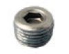 EZ-LOADER Oil Hub Plug, 1/8" NPT #290-034129